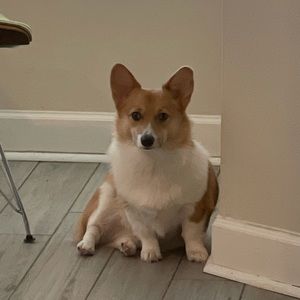 Meet your Posher, Nhi